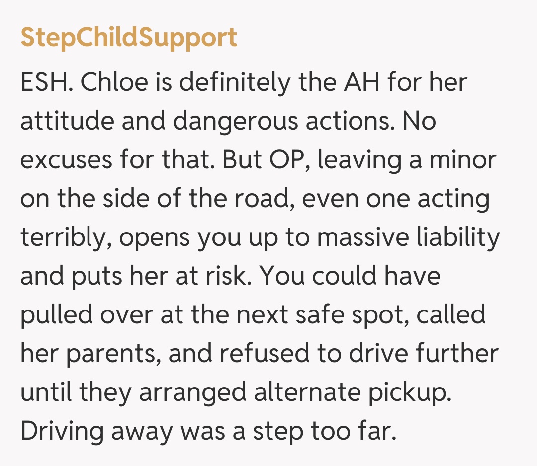 Comentariu de la StepChildSupport