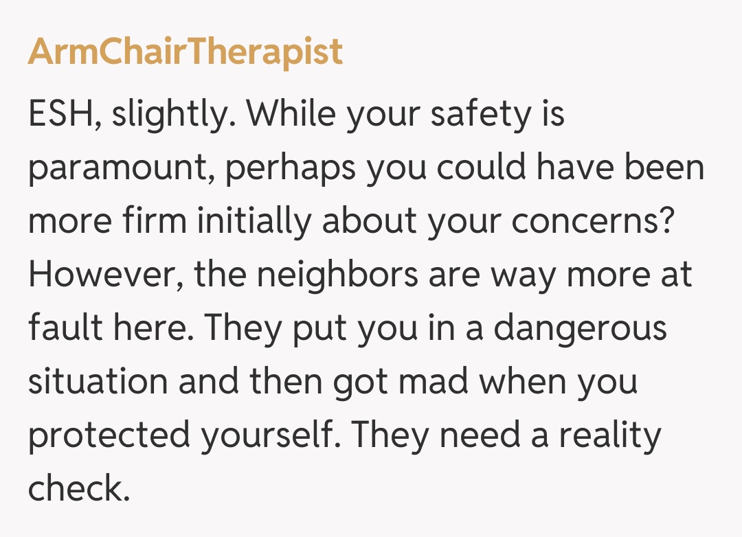 Comentariu de la ArmChairTherapist