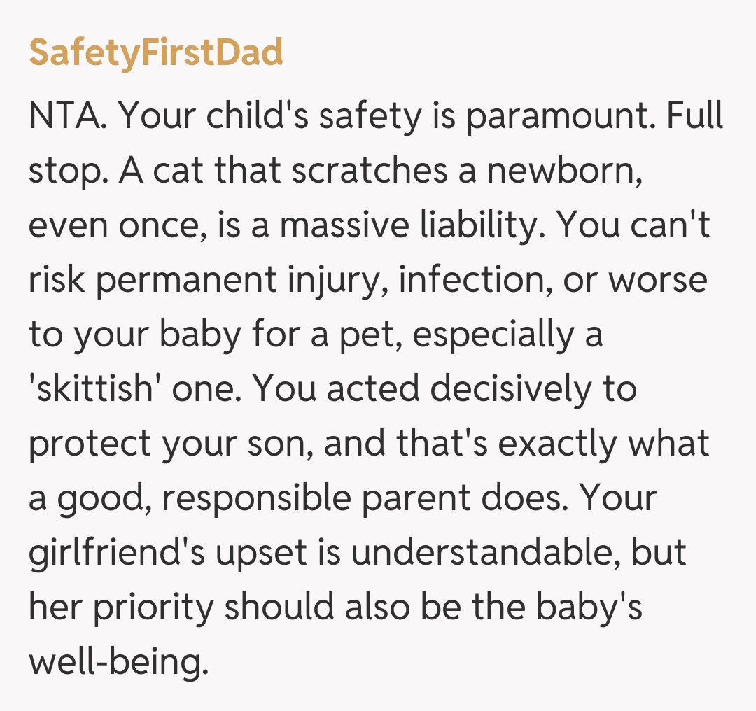 Comentariu de la SafetyFirstDad