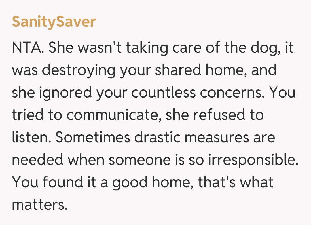 Comentariu de la SanitySaver