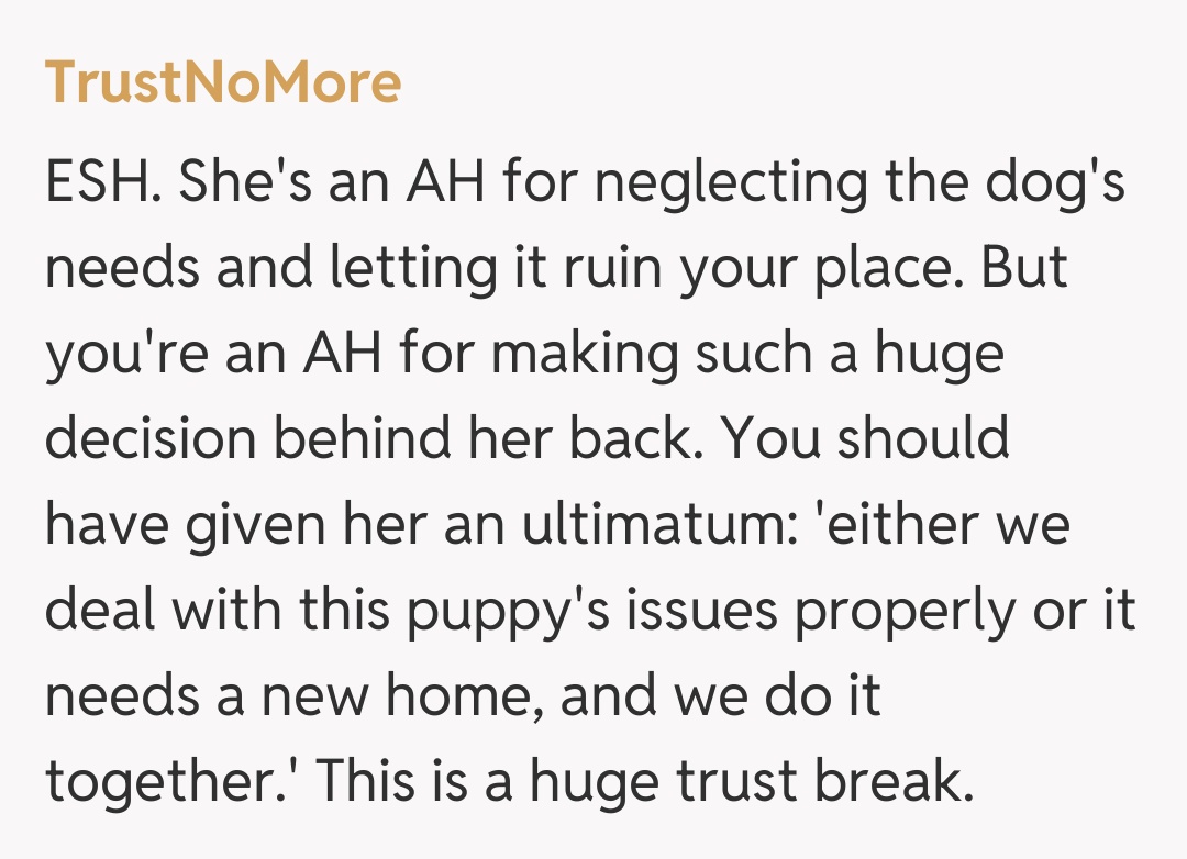Comentariu de la TrustNoMore