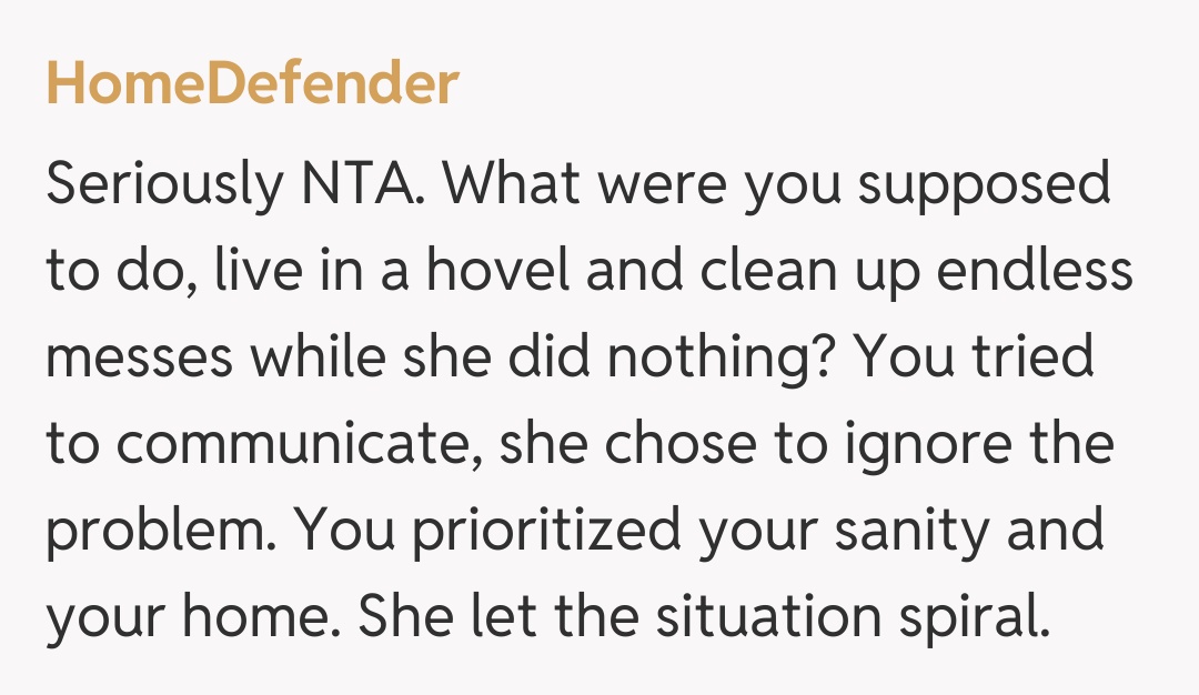 Comentariu de la HomeDefender