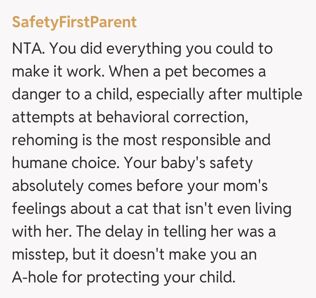 Comentariu de la SafetyFirstParent
