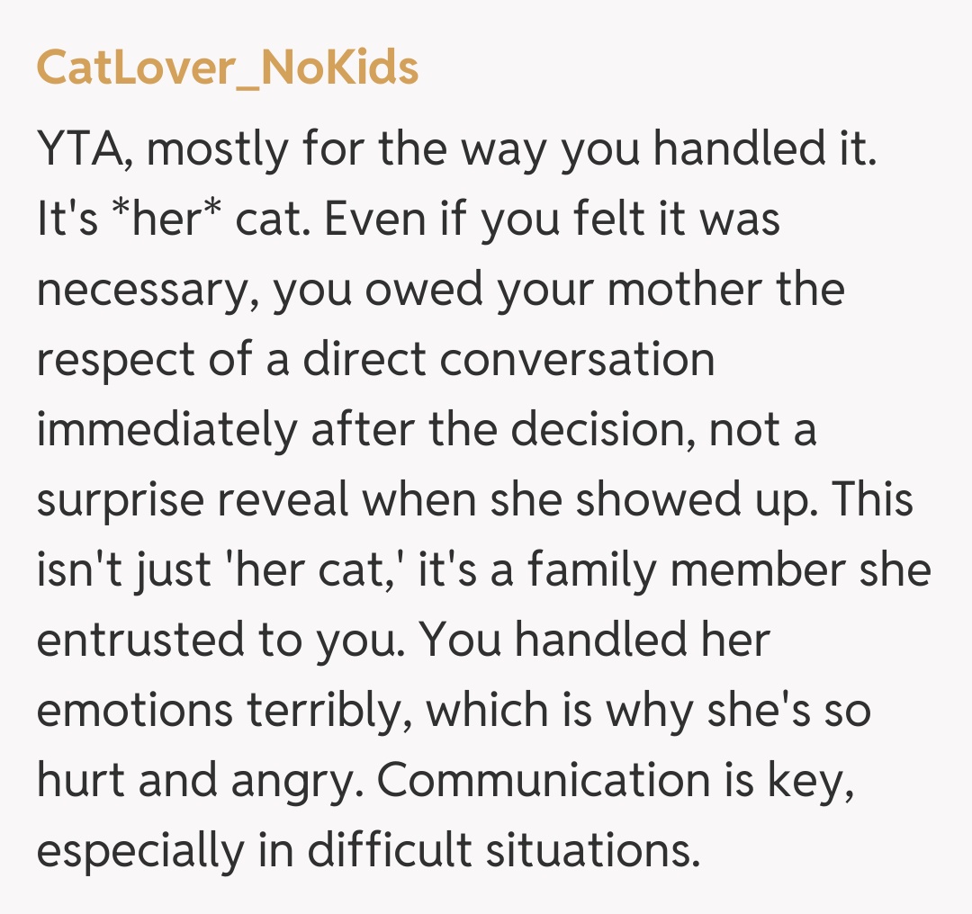 Comentariu de la CatLover_NoKids