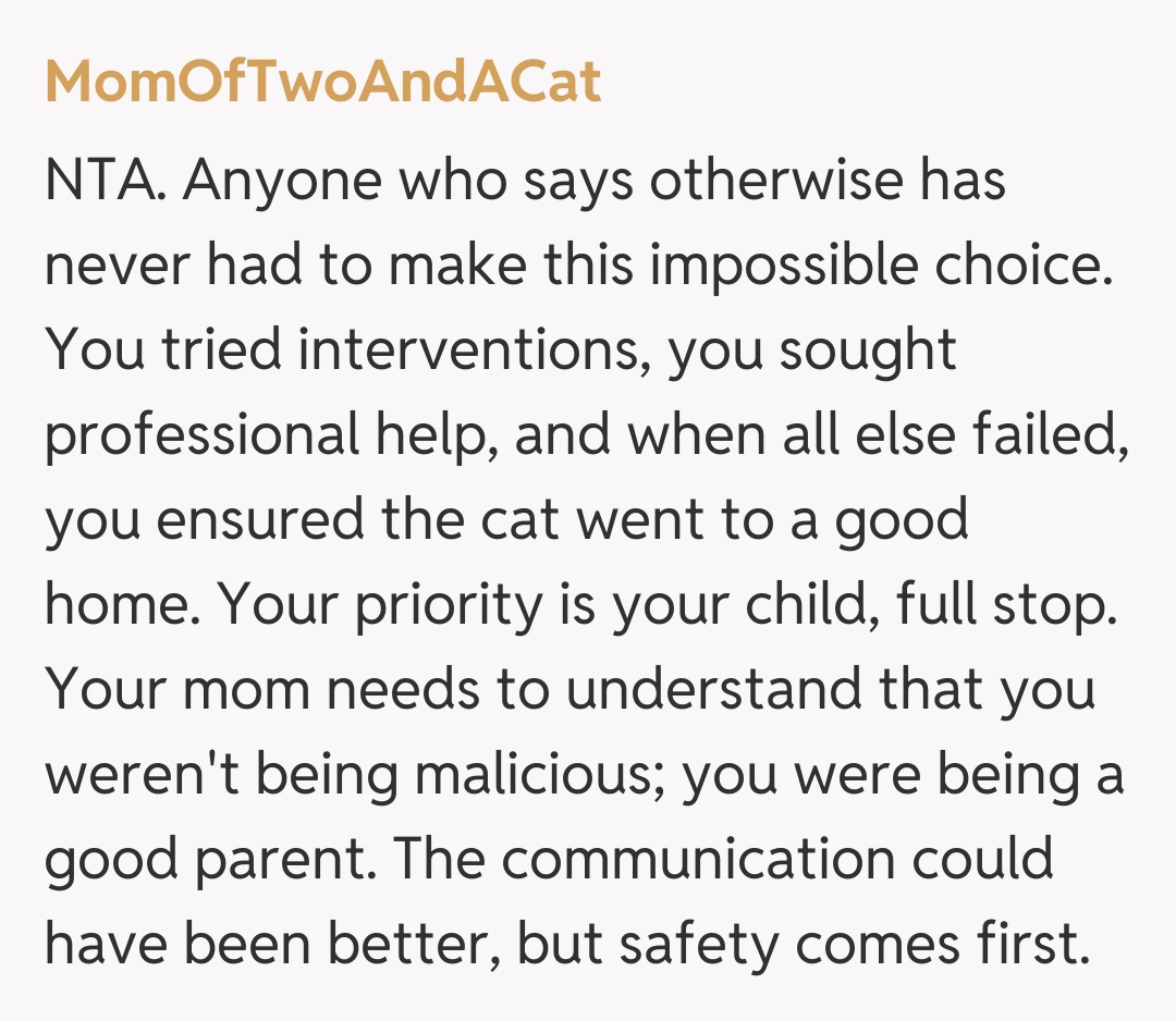 Comentariu de la MomOfTwoAndACat