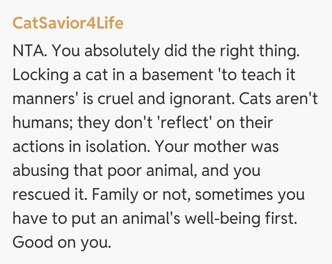Comentariu de la CatSavior4Life