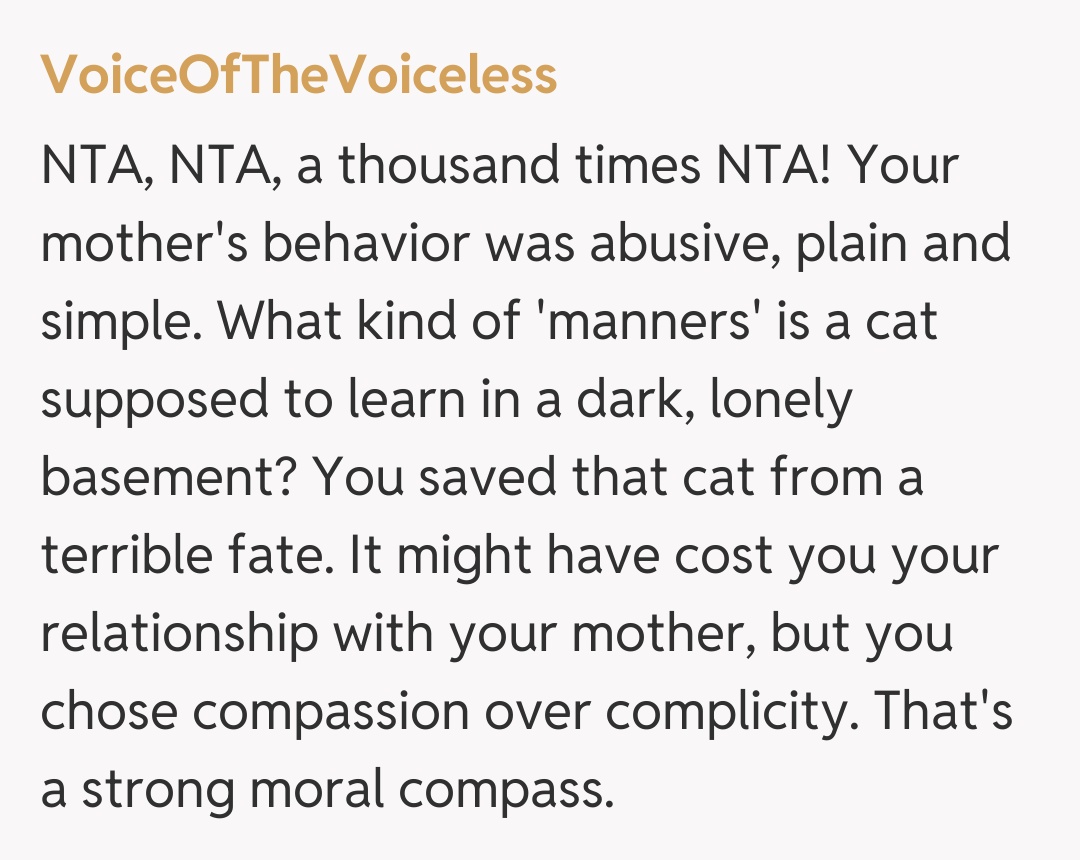 Comentariu de la VoiceOfTheVoiceless