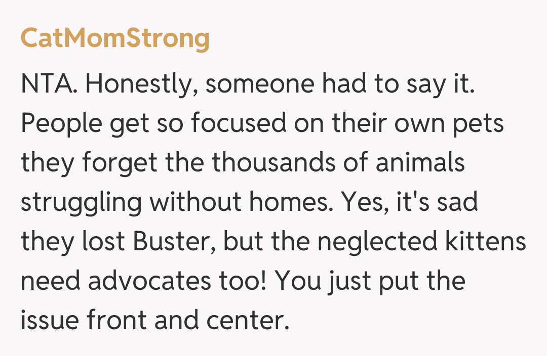 Comentariu de la CatMomStrong
