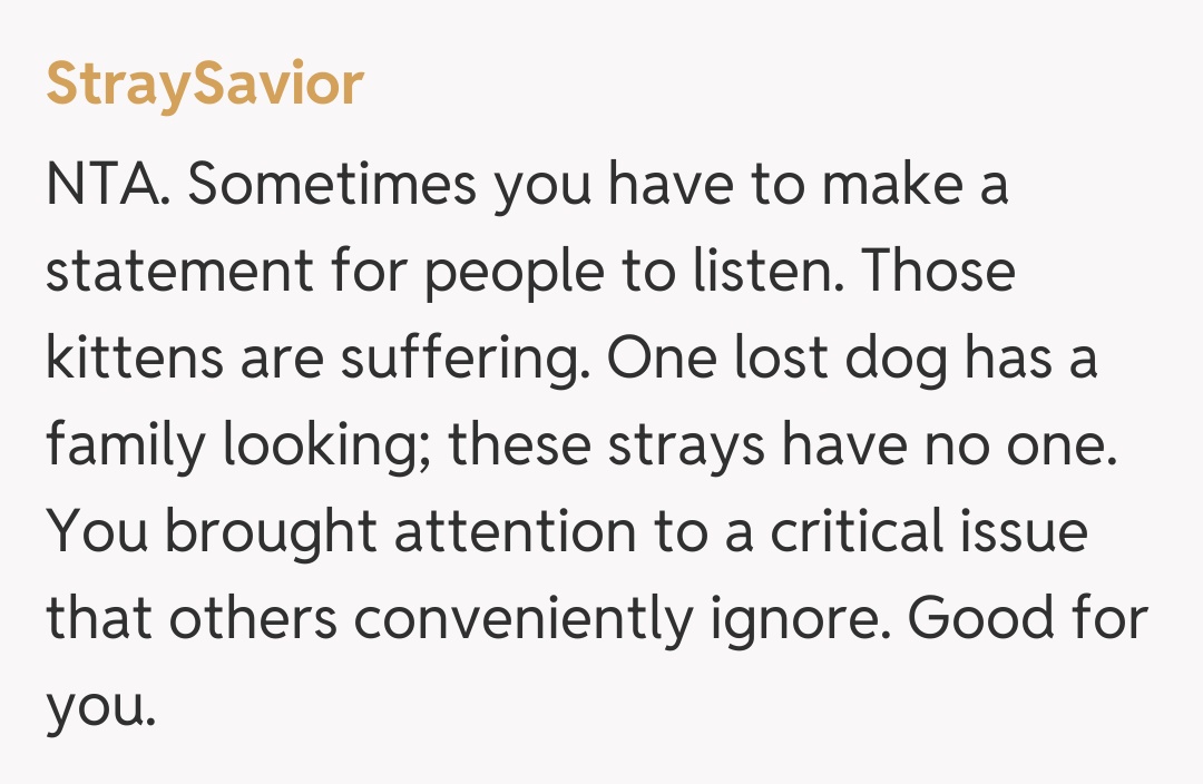 Comentariu de la StraySavior