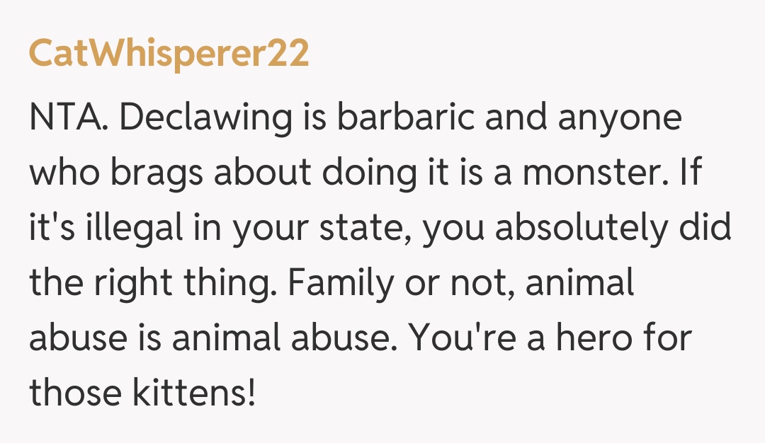 Comentariu de la CatWhisperer22
