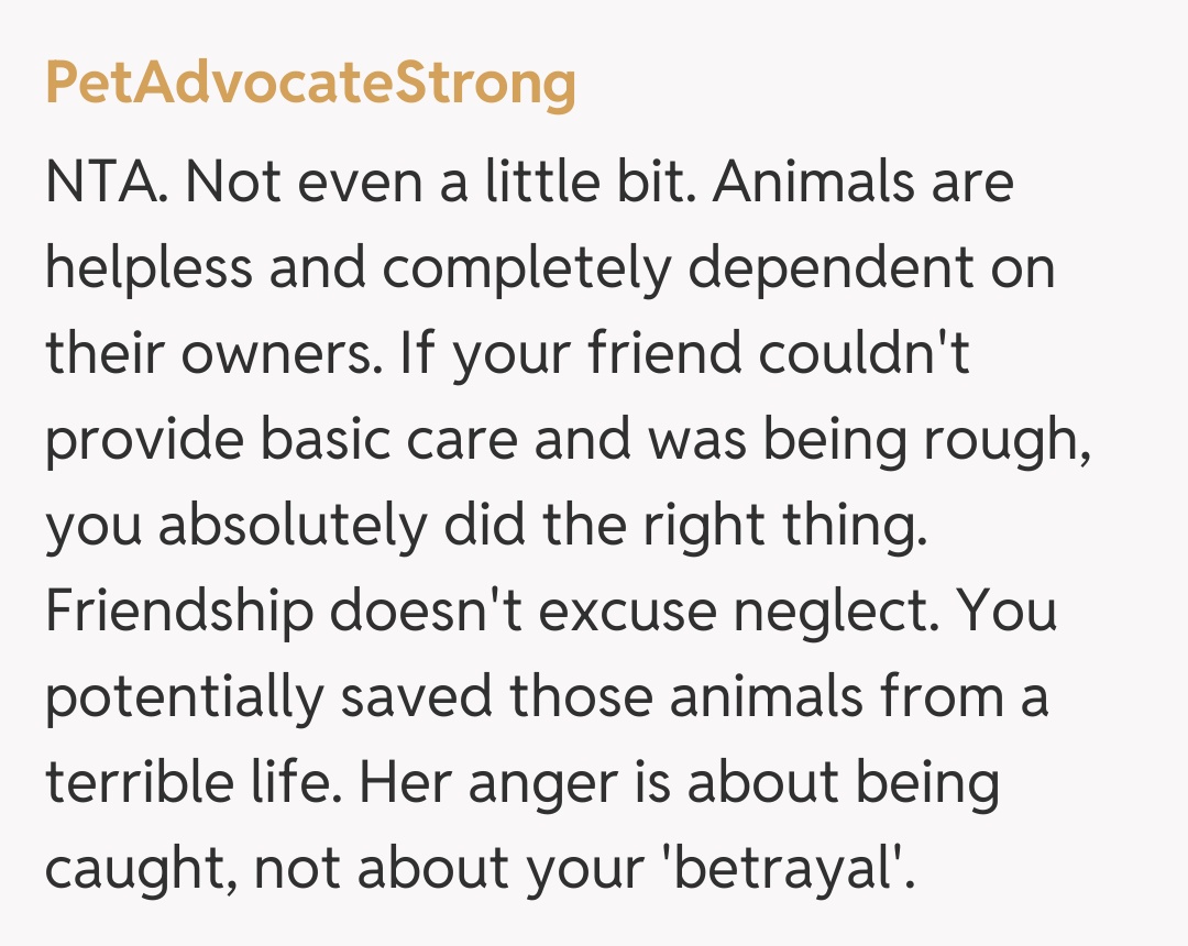 Comentariu de la PetAdvocateStrong
