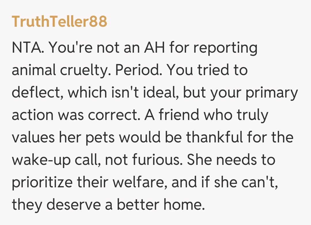 Comentariu de la TruthTeller88