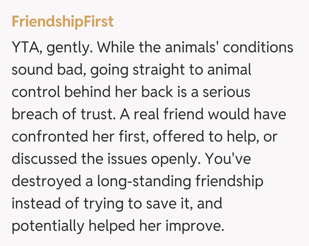Comentariu de la FriendshipFirst