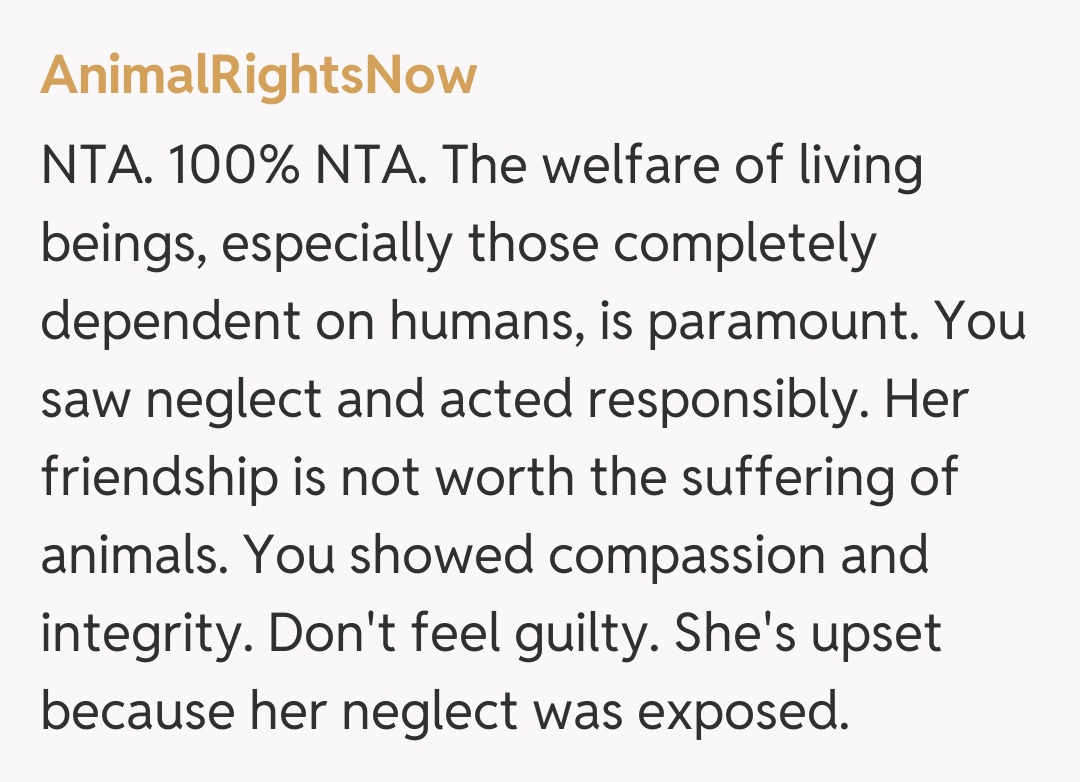 Comentariu de la AnimalRightsNow