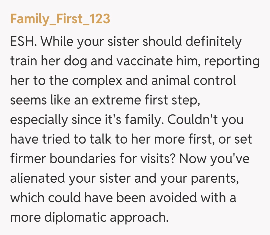 Comentariu de la Family_First_123