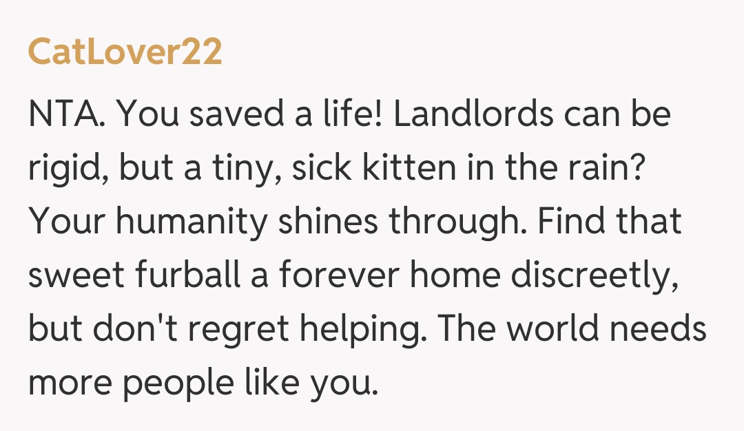 Comentariu de la CatLover22