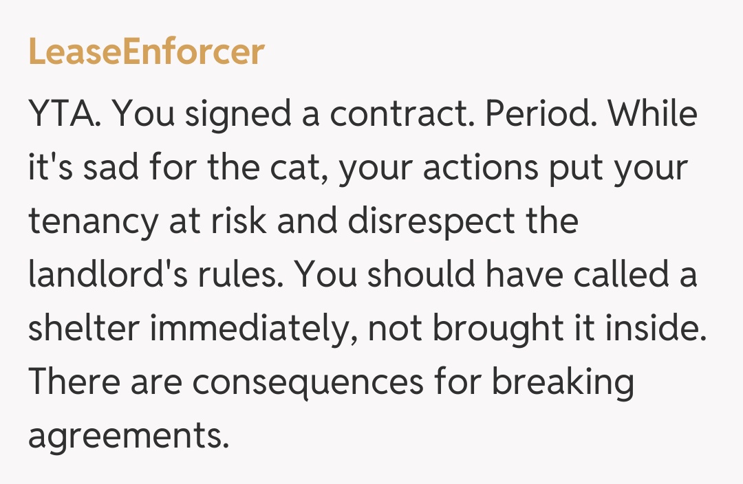 Comentariu de la LeaseEnforcer
