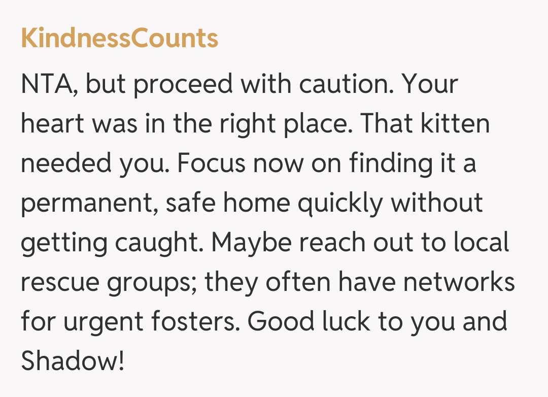Comentariu de la KindnessCounts