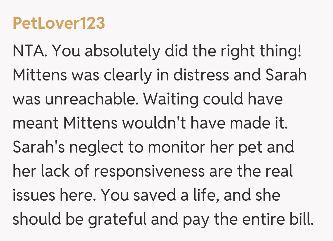 Comentariu de la PetLover123