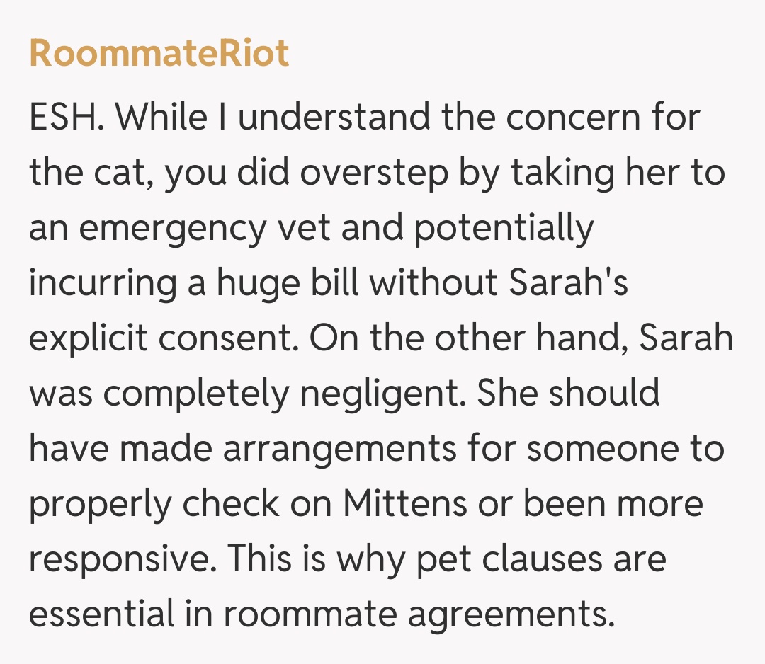 Comentariu de la RoommateRiot