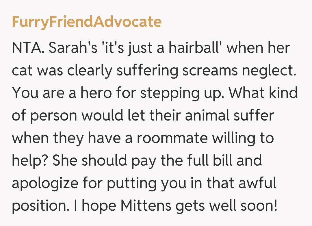 Comentariu de la FurryFriendAdvocate