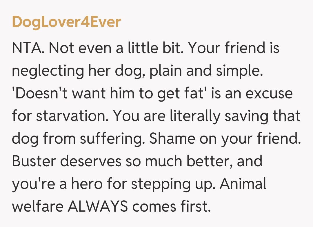 Comentariu de la DogLover4Ever