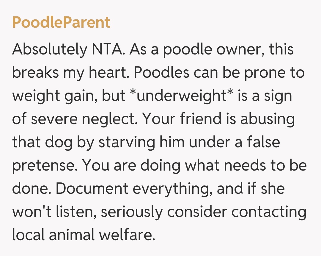 Comentariu de la PoodleParent