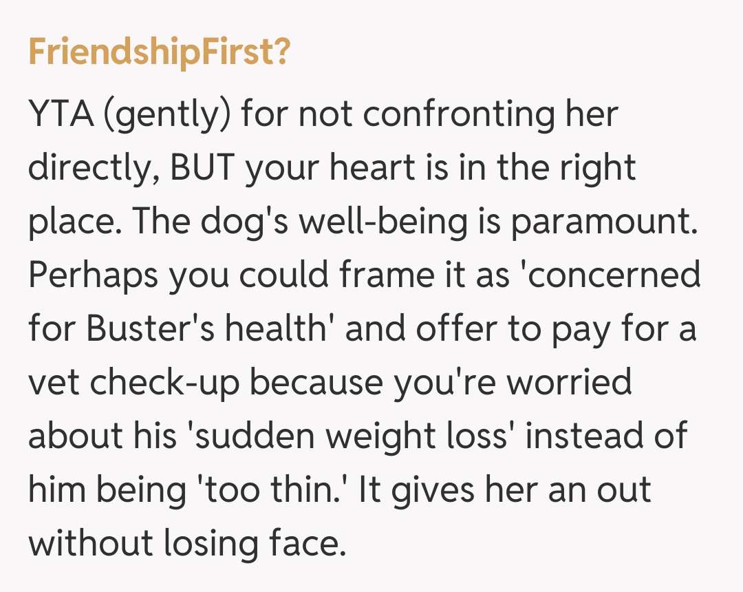 Comentariu de la FriendshipFirst?