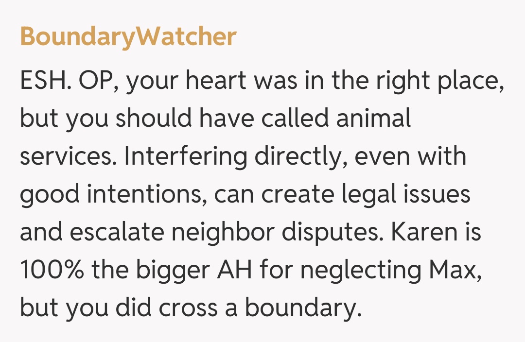 Comentariu de la BoundaryWatcher