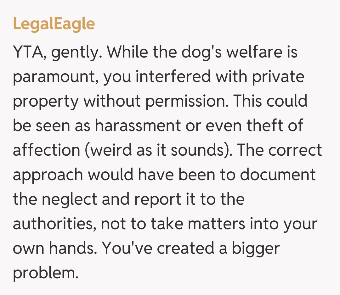 Comentariu de la LegalEagle