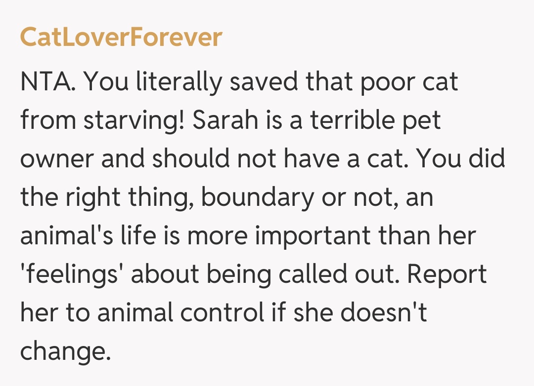 Comentariu de la CatLoverForever