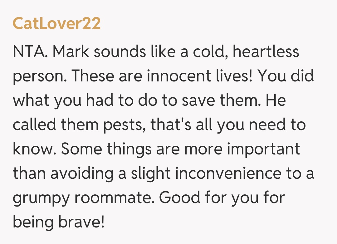 Comentariu de la CatLover22