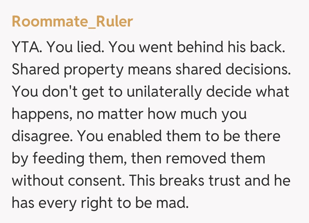 Comentariu de la Roommate_Ruler