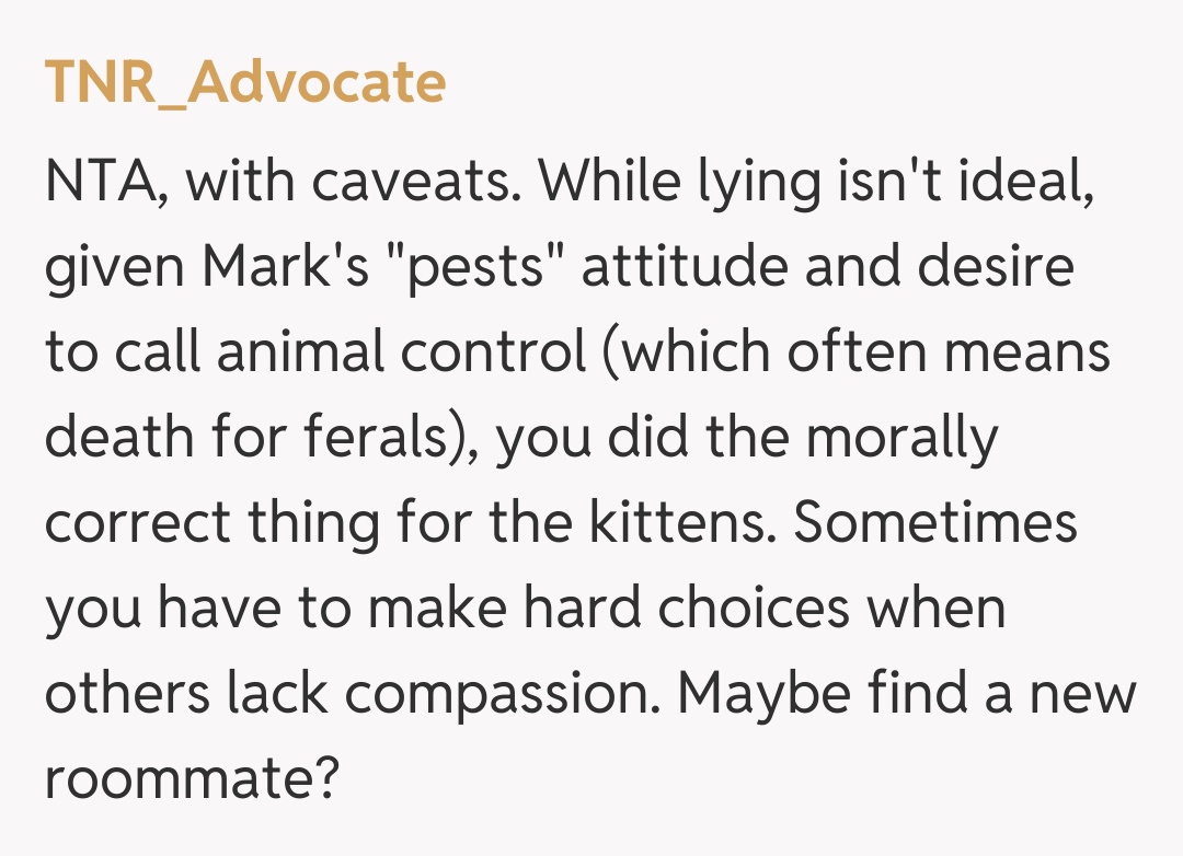 Comentariu de la TNR_Advocate