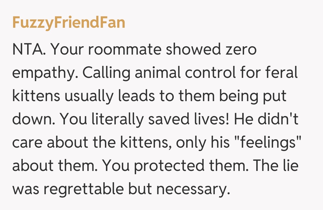 Comentariu de la FuzzyFriendFan