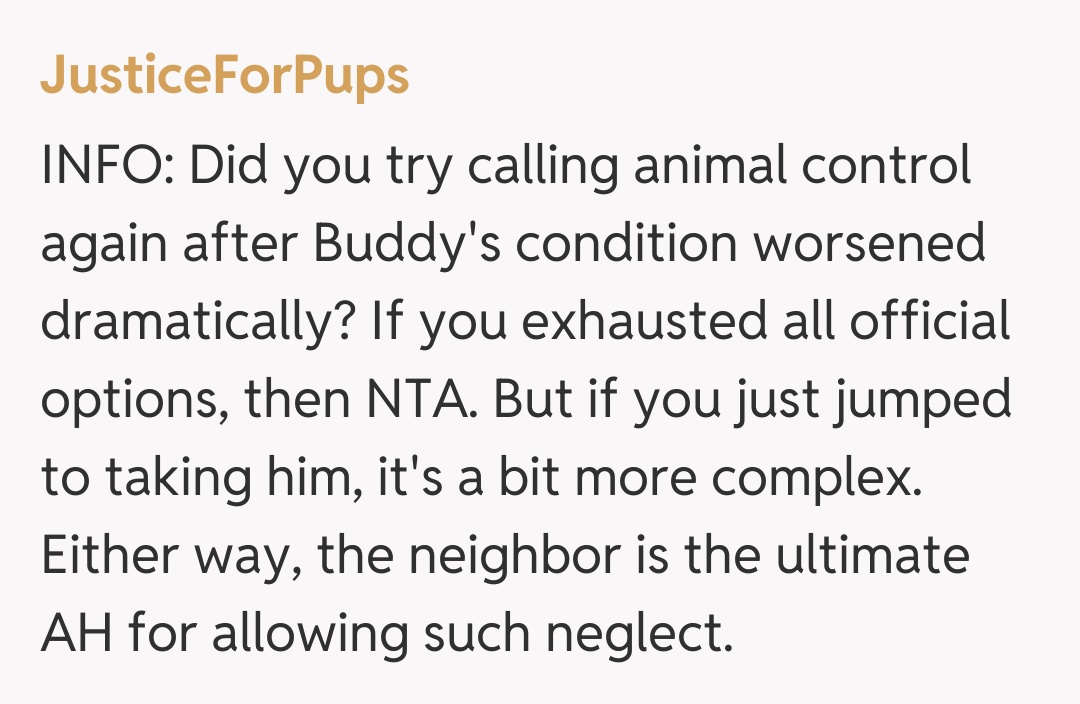 Comentariu de la JusticeForPups