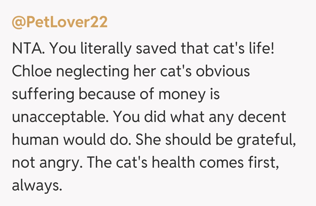 Comentariu de la @PetLover22