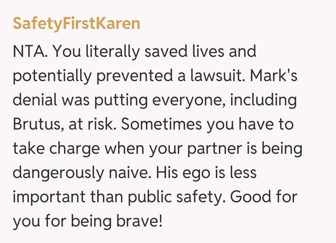 Comentariu de la SafetyFirstKaren