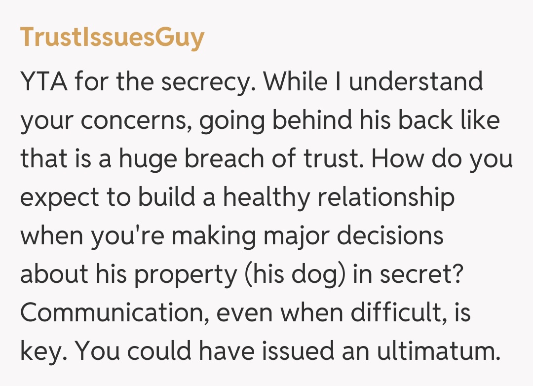 Comentariu de la TrustIssuesGuy