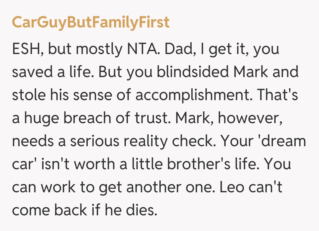 Comentariu de la CarGuyButFamilyFirst