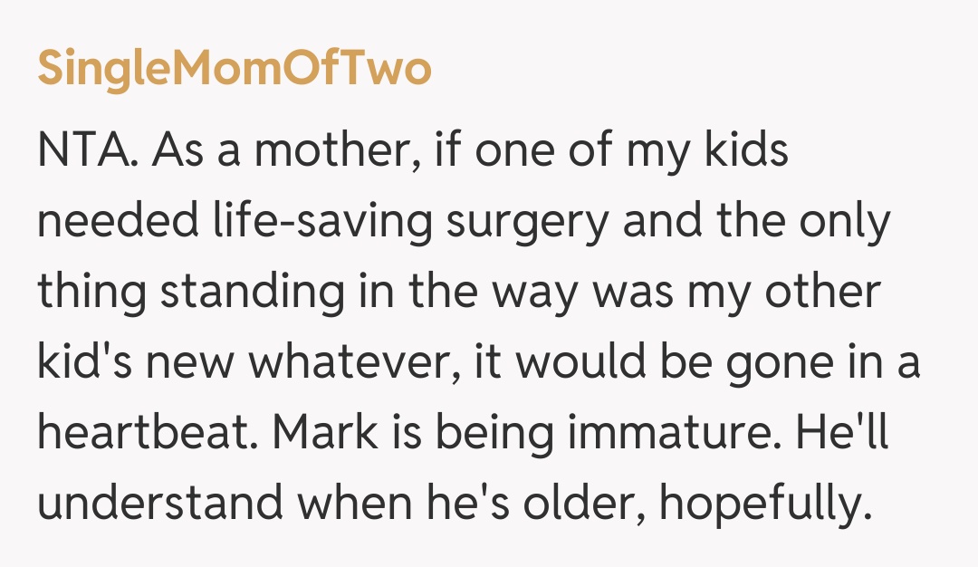 Comentariu de la SingleMomOfTwo