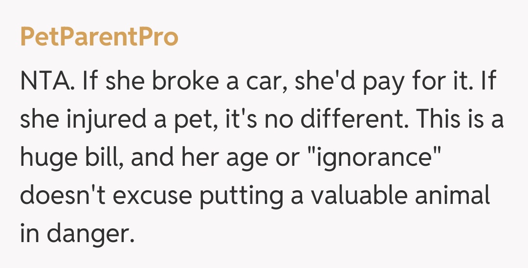Comentariu de la PetParentPro