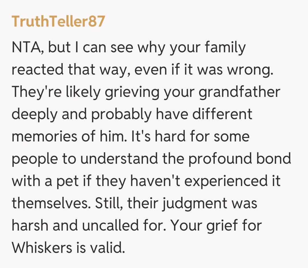Comentariu de la TruthTeller87