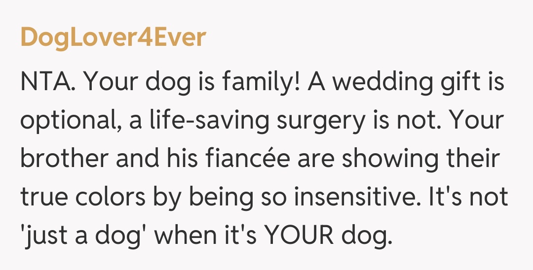 Comentariu de la DogLover4Ever