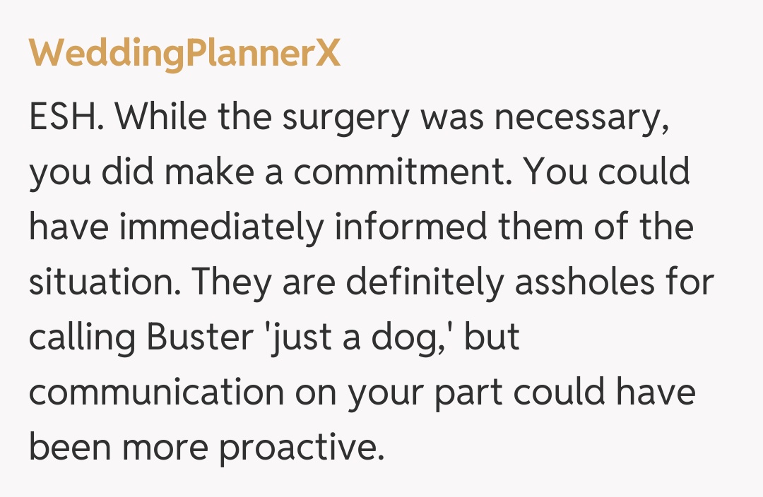 Comentariu de la WeddingPlannerX