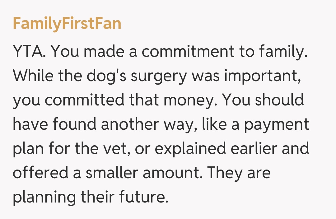Comentariu de la FamilyFirstFan