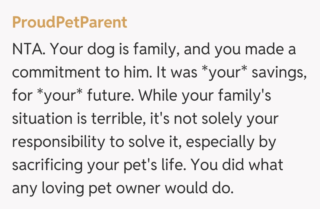 Comentariu de la ProudPetParent