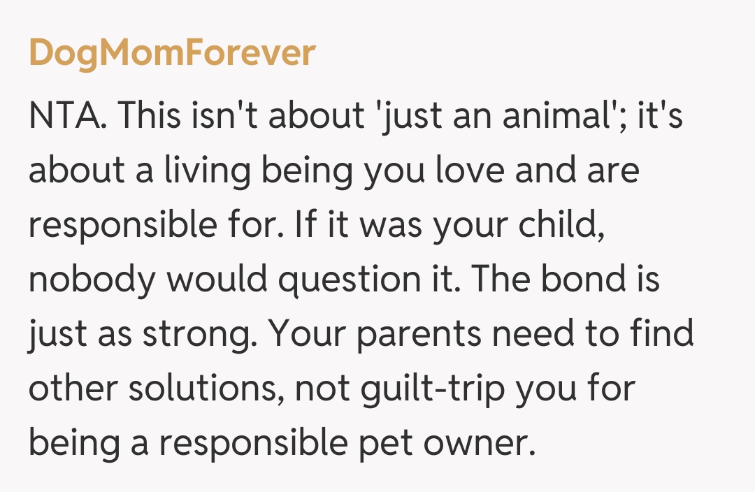 Comentariu de la DogMomForever