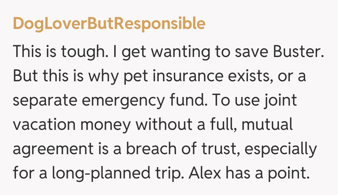 Comentariu de la DogLoverButResponsible