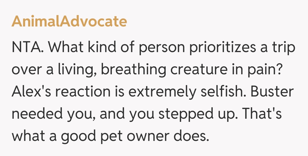 Comentariu de la AnimalAdvocate